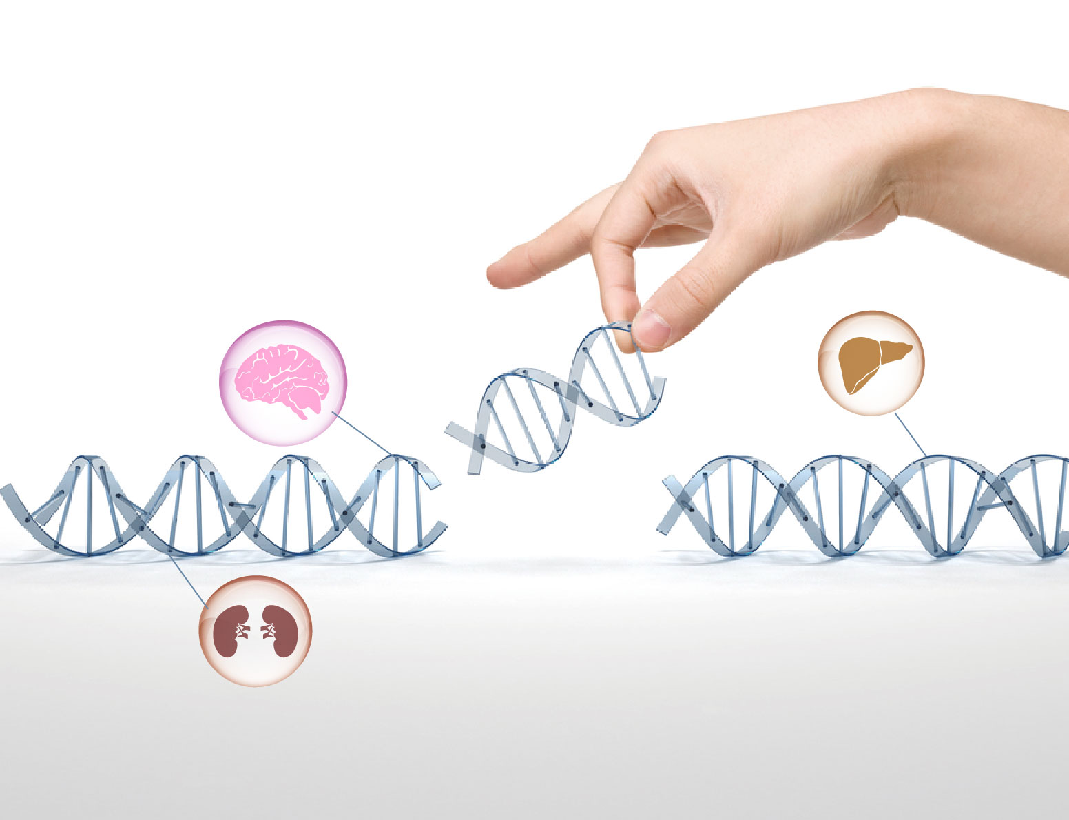 Gene Delivery & Editing