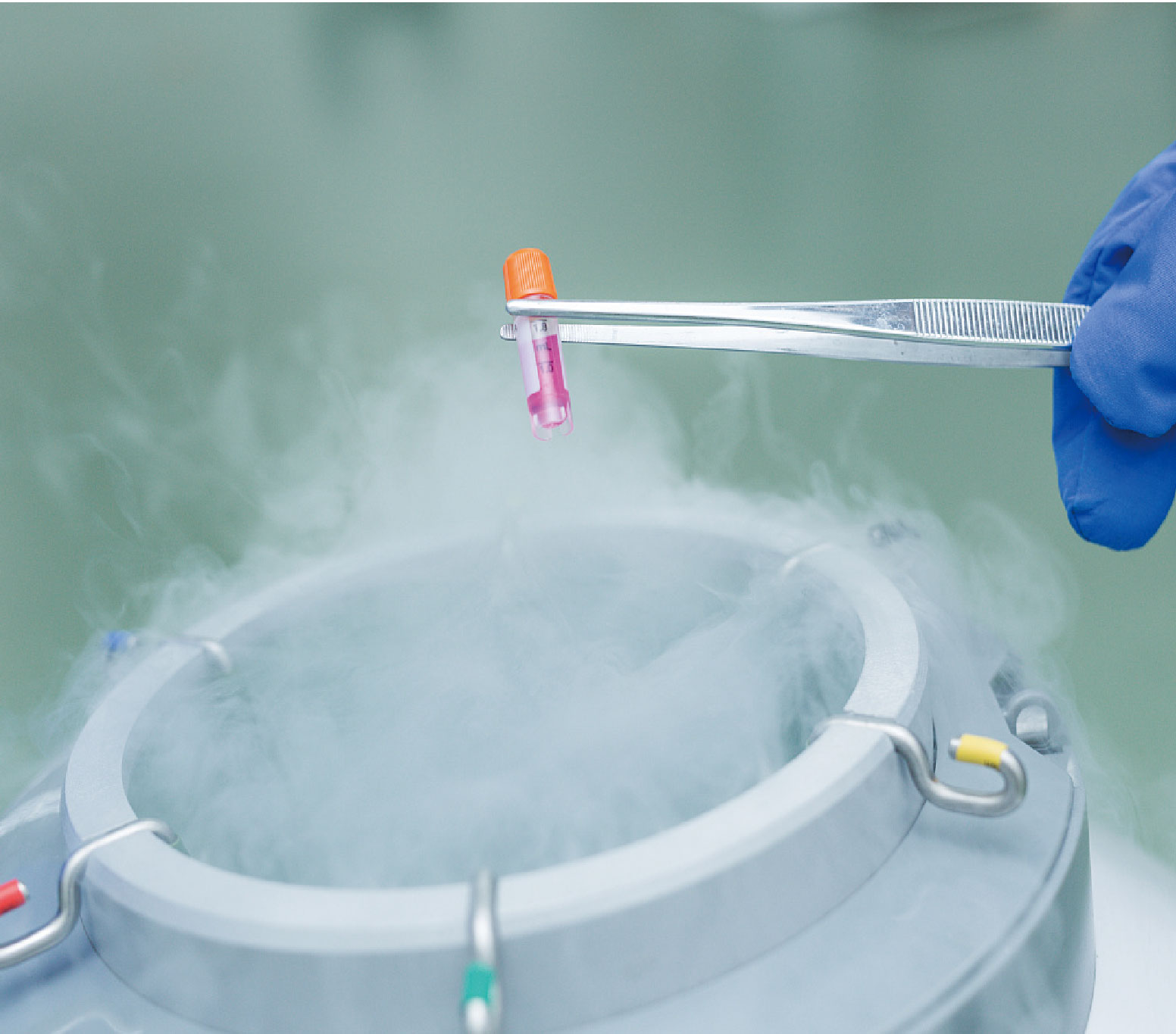 Custom Cell Isolation